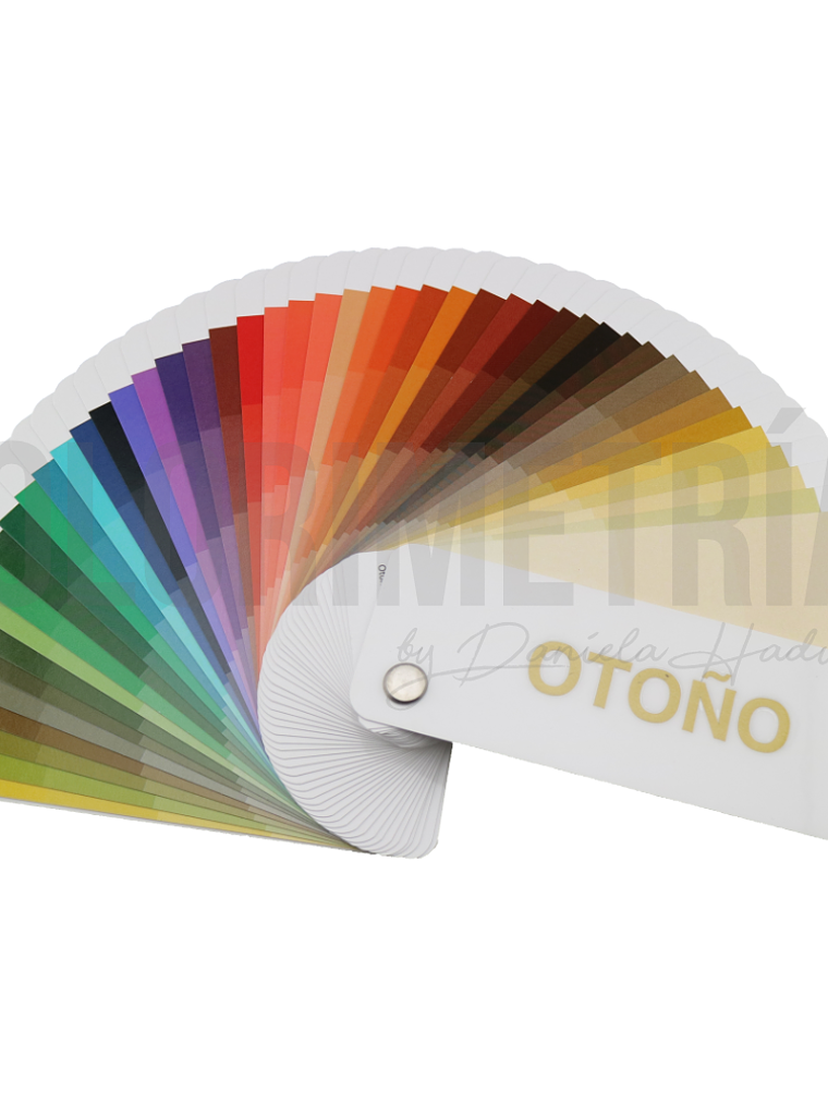 Paleta de Colores LP 1