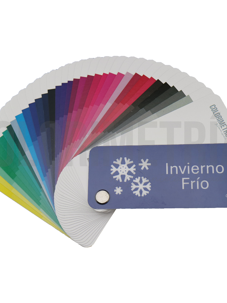 Paleta Invierno Frío 2