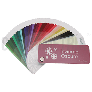 Paleta Invierno Oscuro
