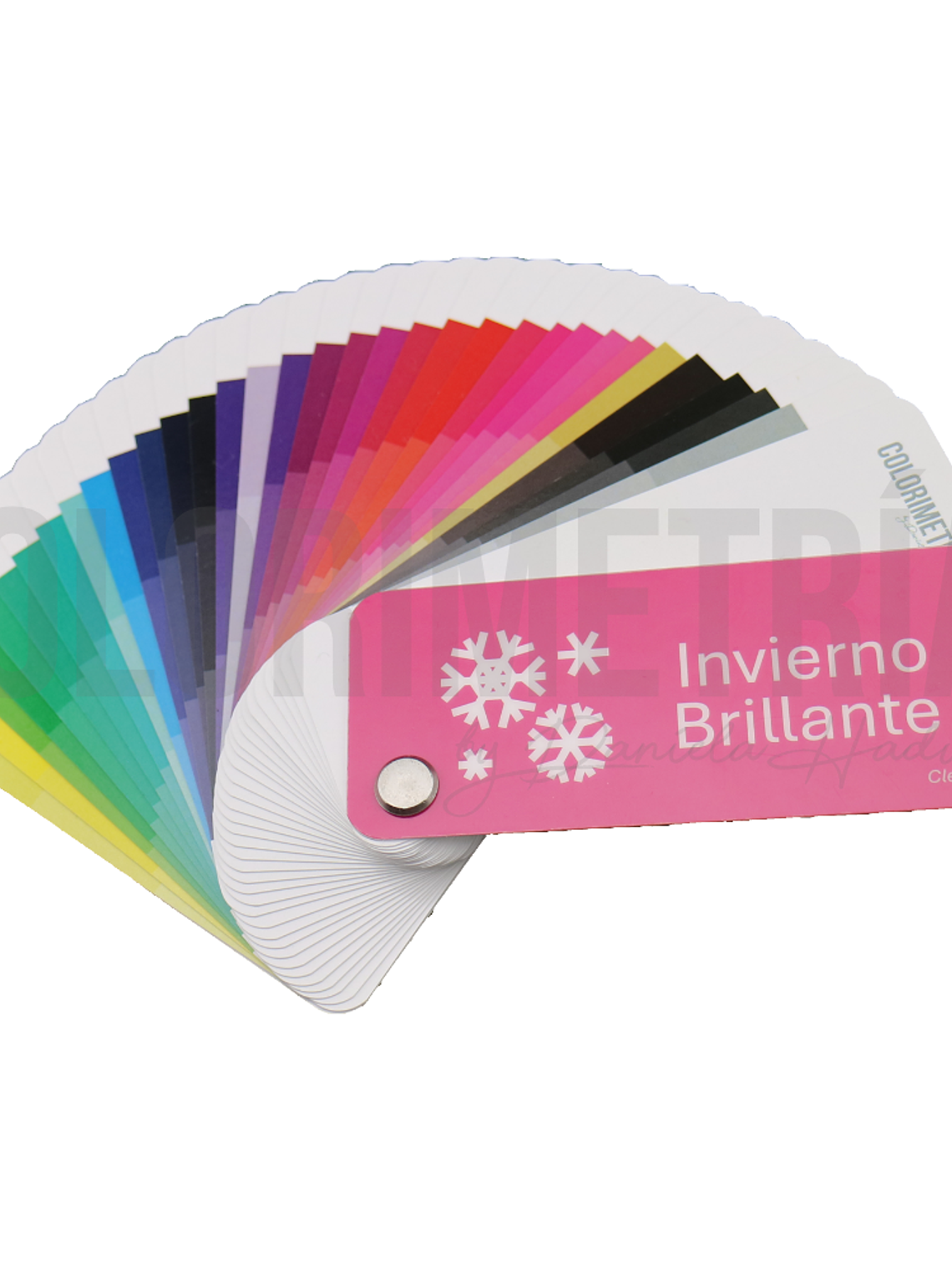 Paleta Invierno Brillante 2