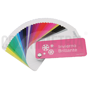 Paleta Invierno Brillante