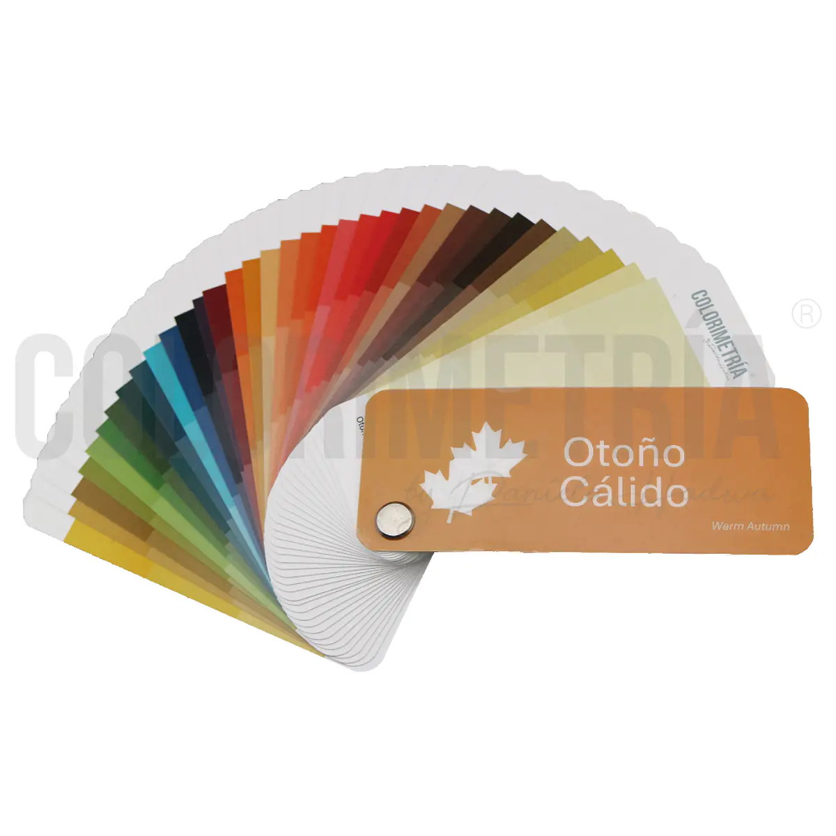 Paleta Otoño Calido