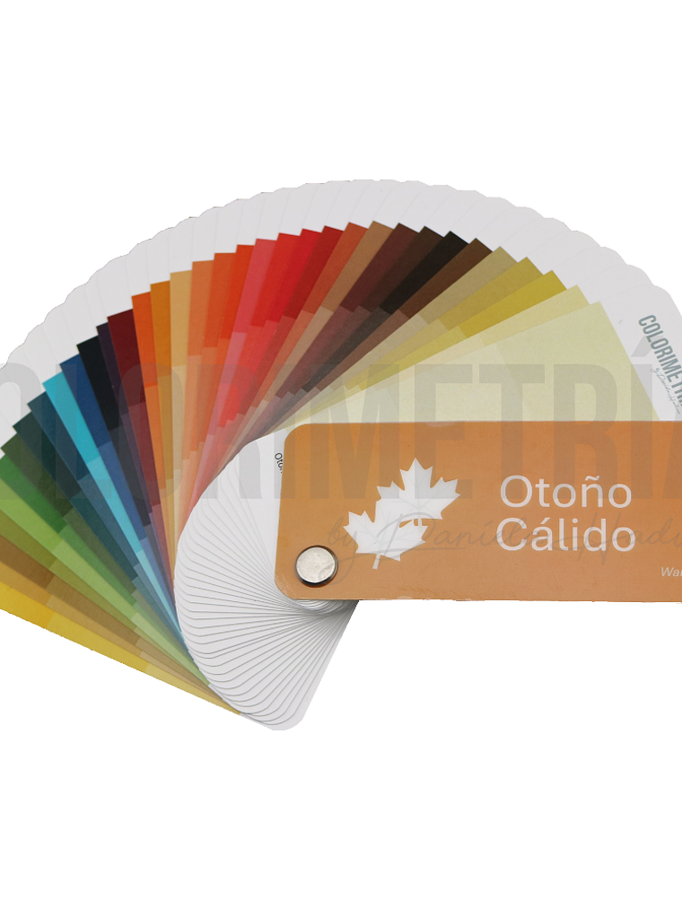 Paleta Otoño Cálido 2