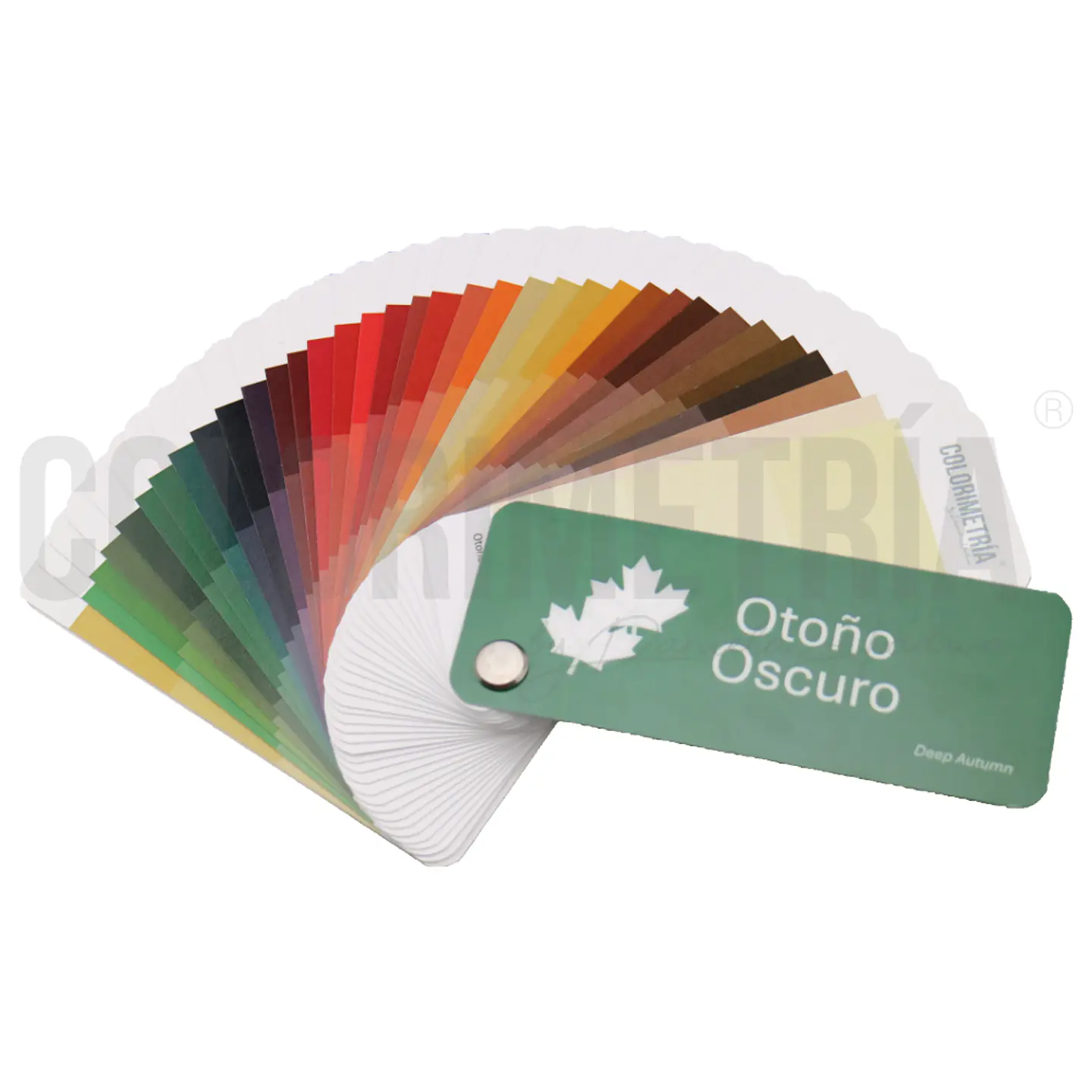 Paleta Otoño Oscuro 2