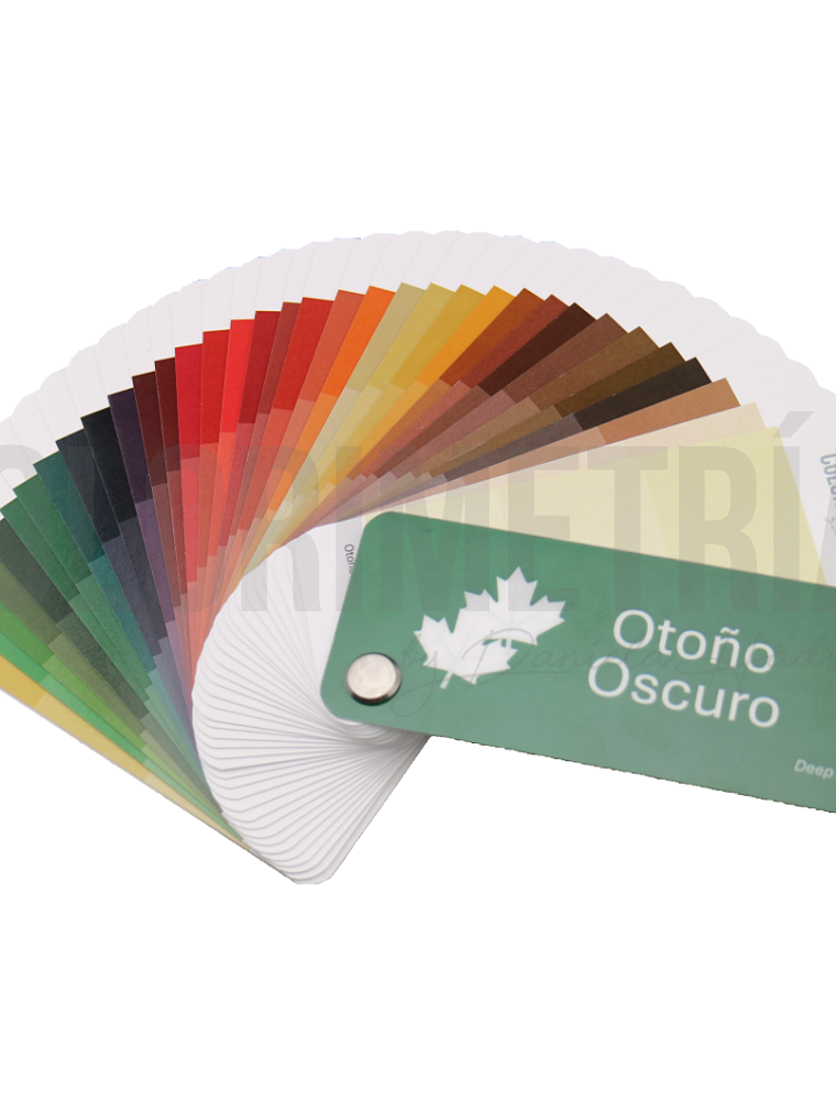 Paleta Otoño Oscuro 2