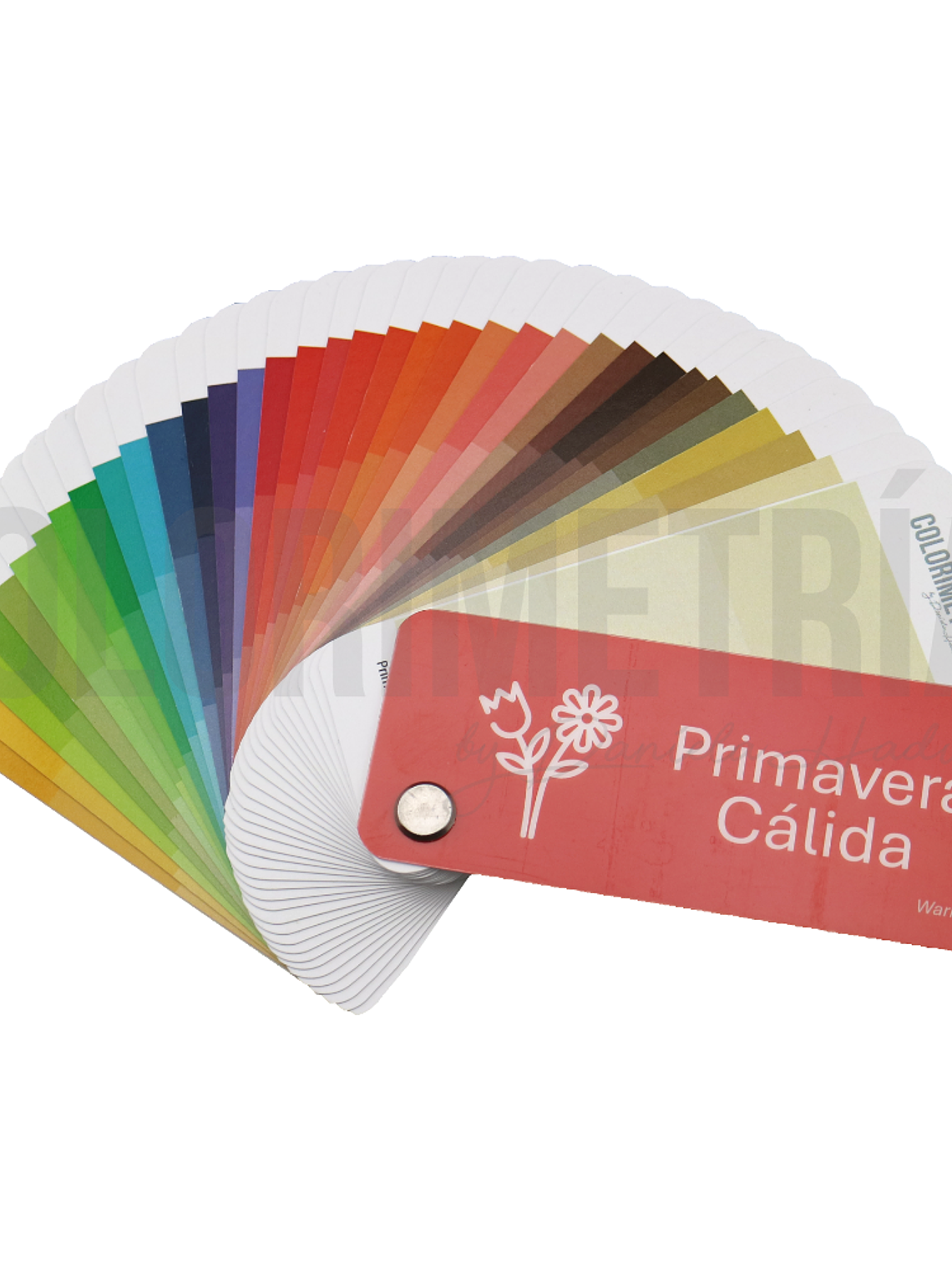 Paleta Primavera Cálida 2