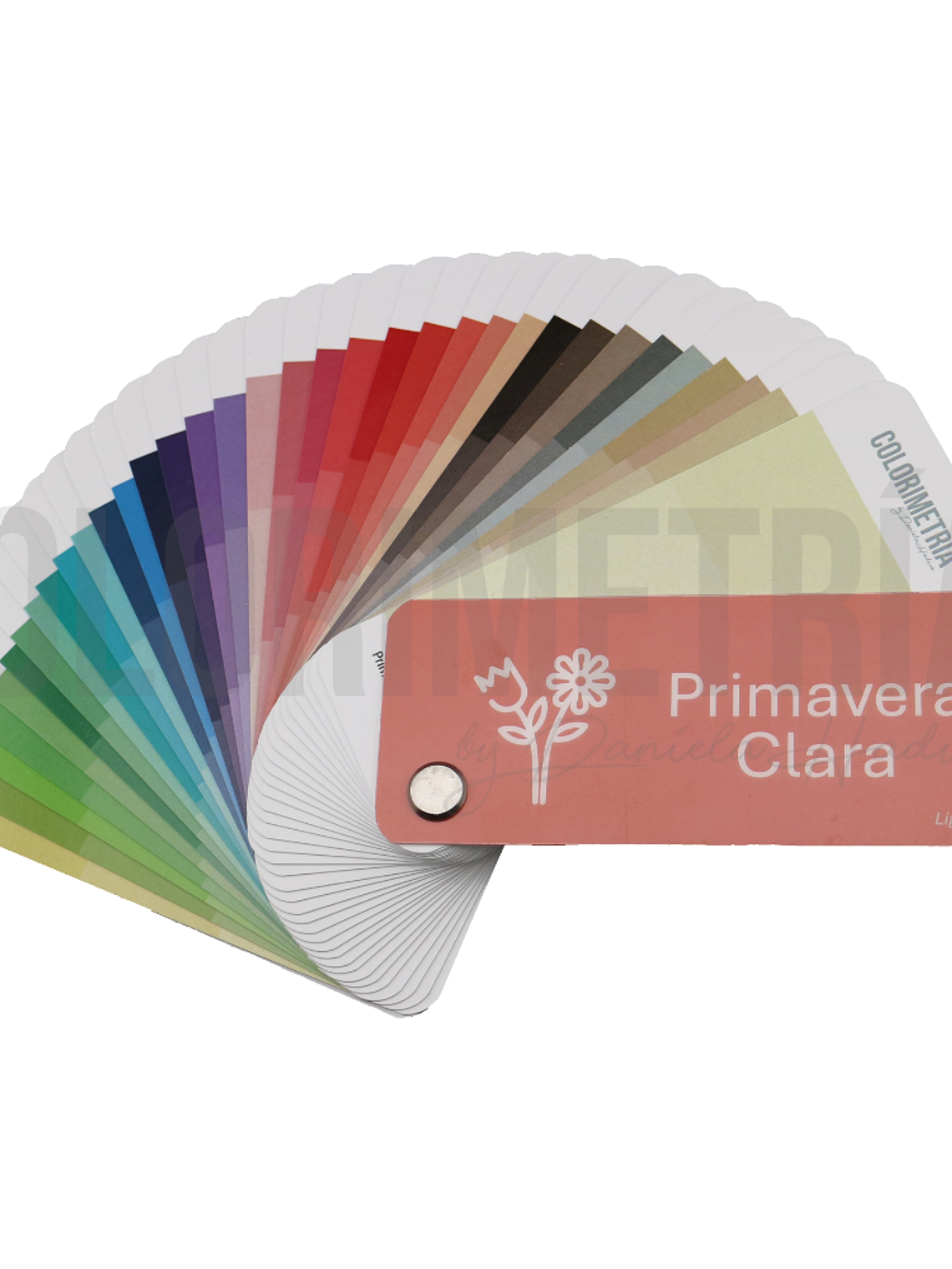 Paleta Primavera Clara 2