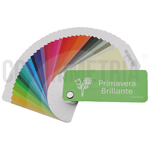 Paleta Primavera Brillante