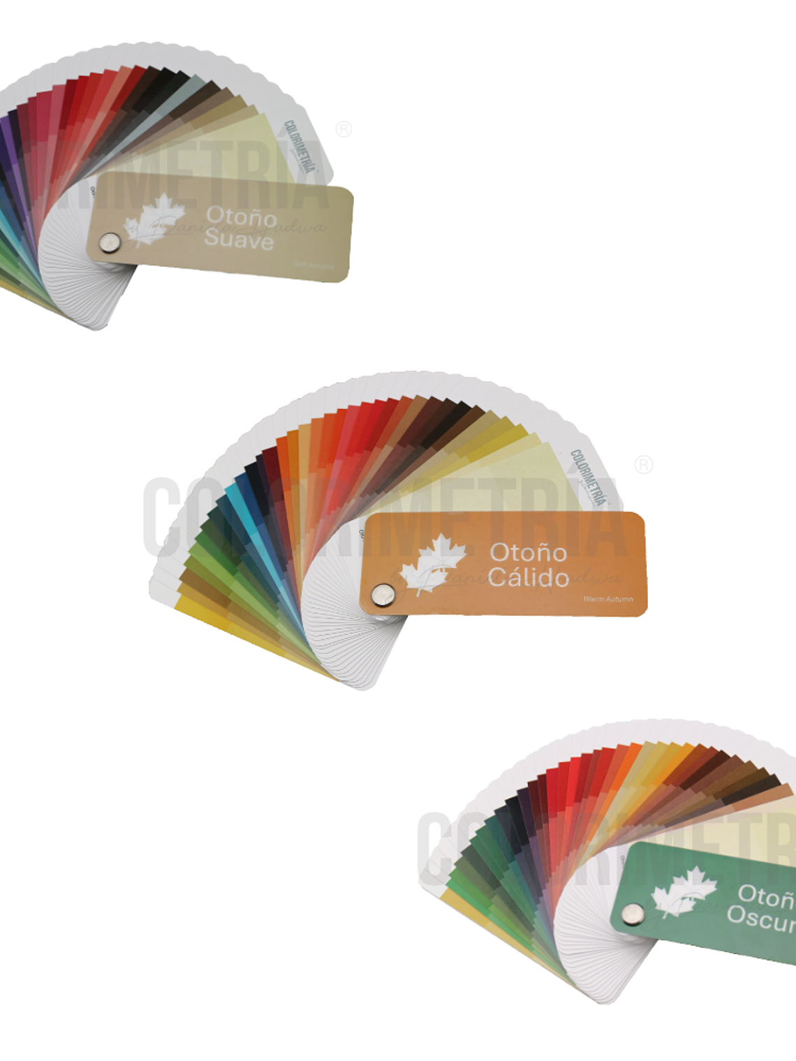 Pack Otoño Subpaletas 1