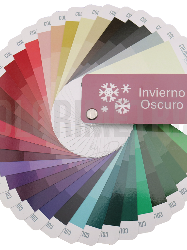 Paleta Invierno Oscuro 1