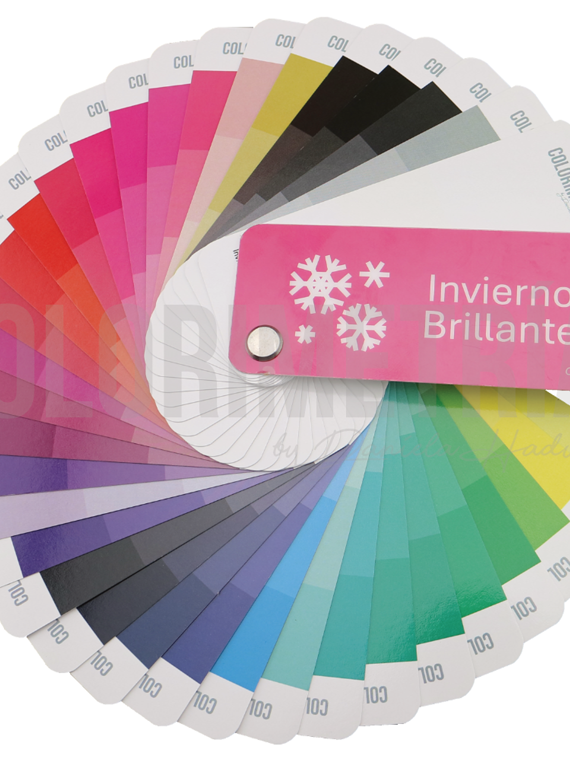 Paleta Invierno Brillante 1