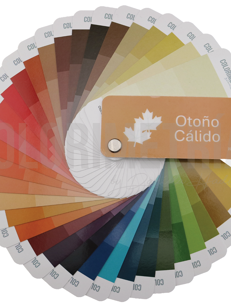 Paleta Otoño Cálido 1