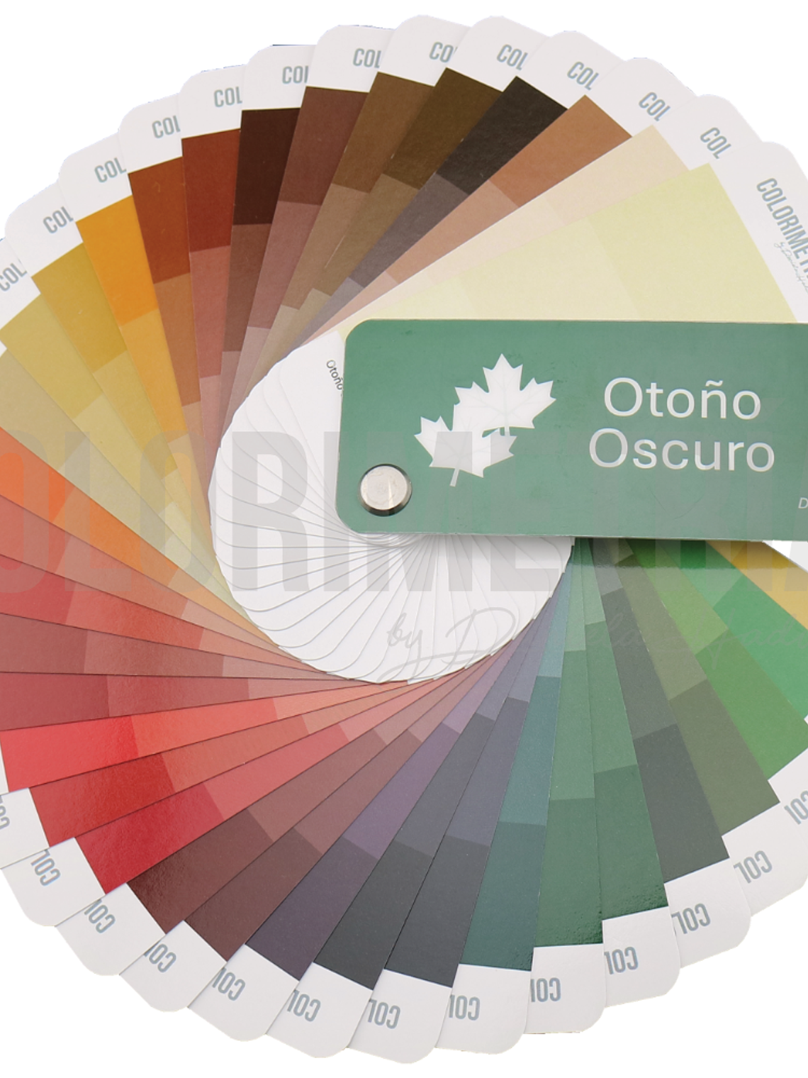 Paleta Otoño Oscuro 1