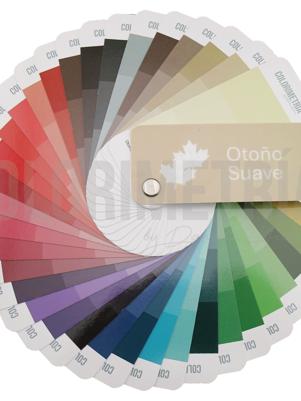 Paleta Otoño Suave 1