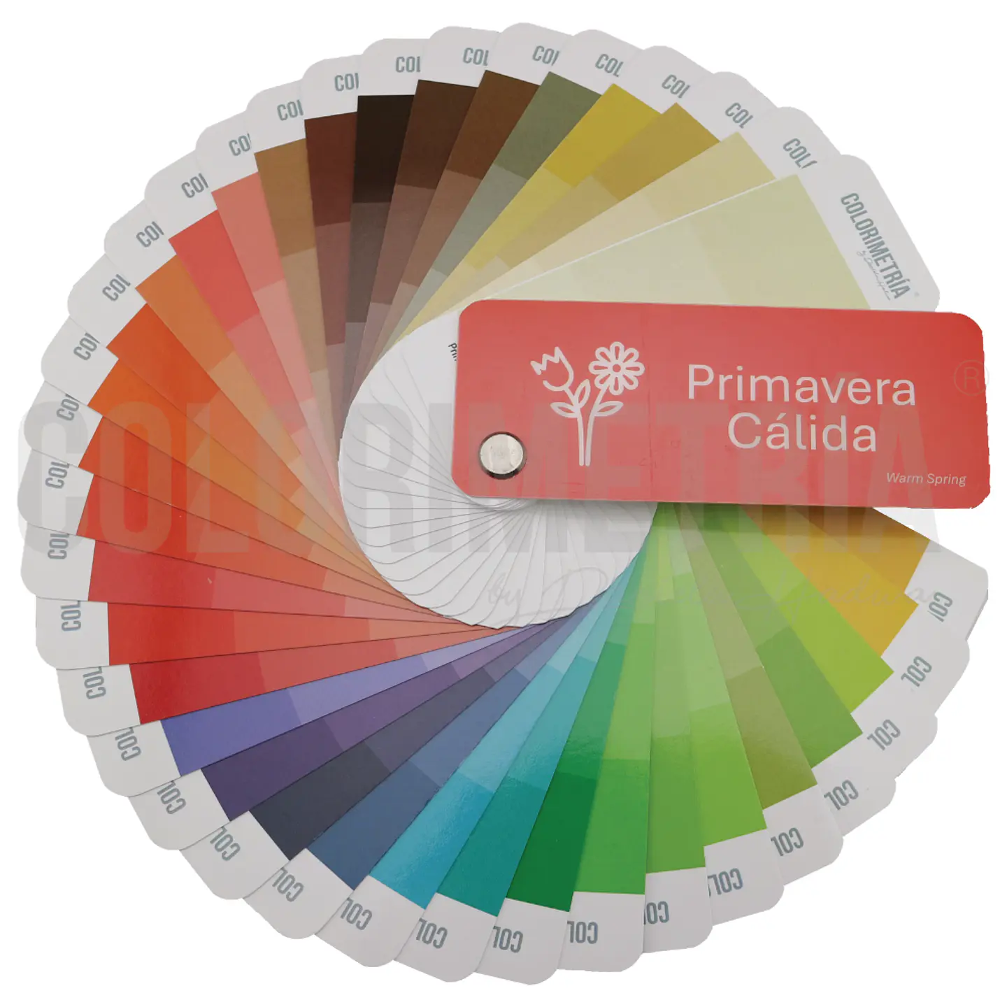 Paleta Primavera Cálida 1
