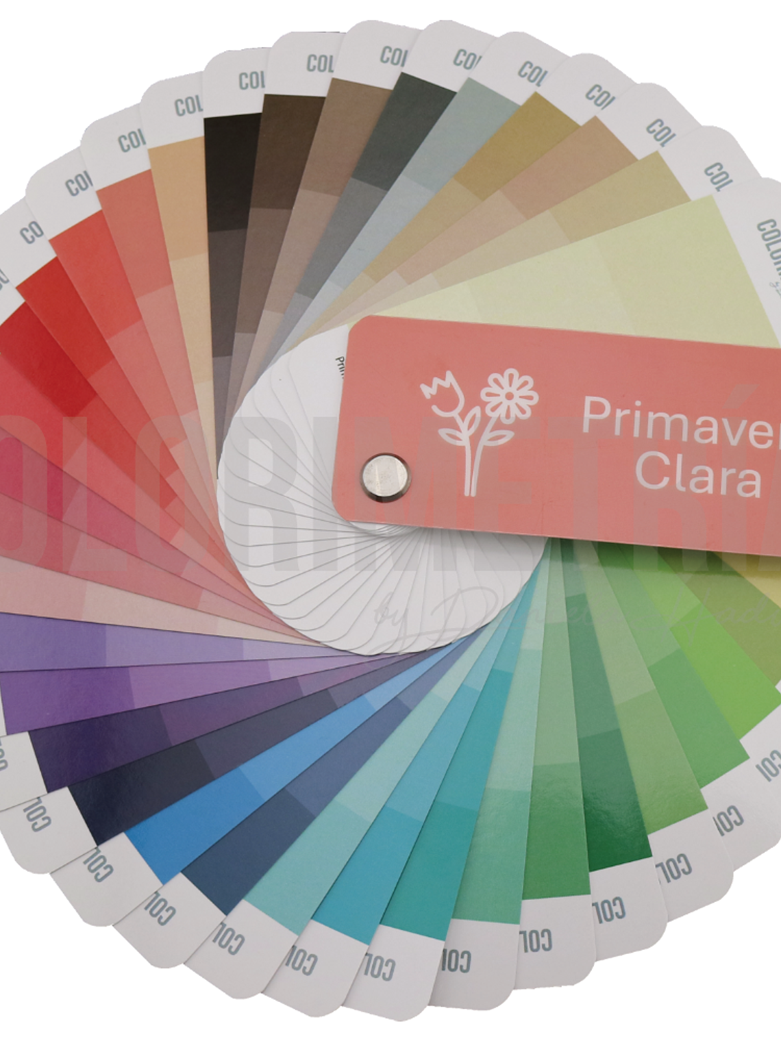 Paleta Primavera Clara 1