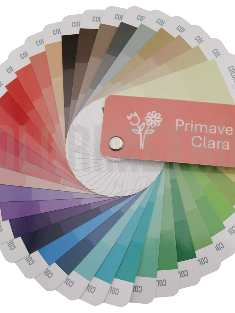 Paleta Primavera Clara 1