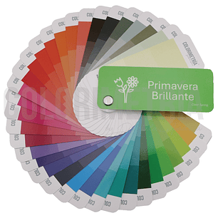 Paleta Primavera Brillante
