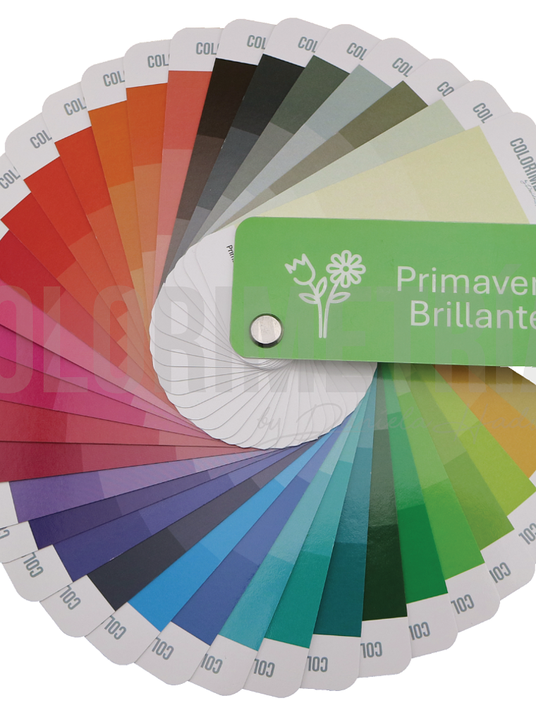 Paleta Primavera Brillante 1