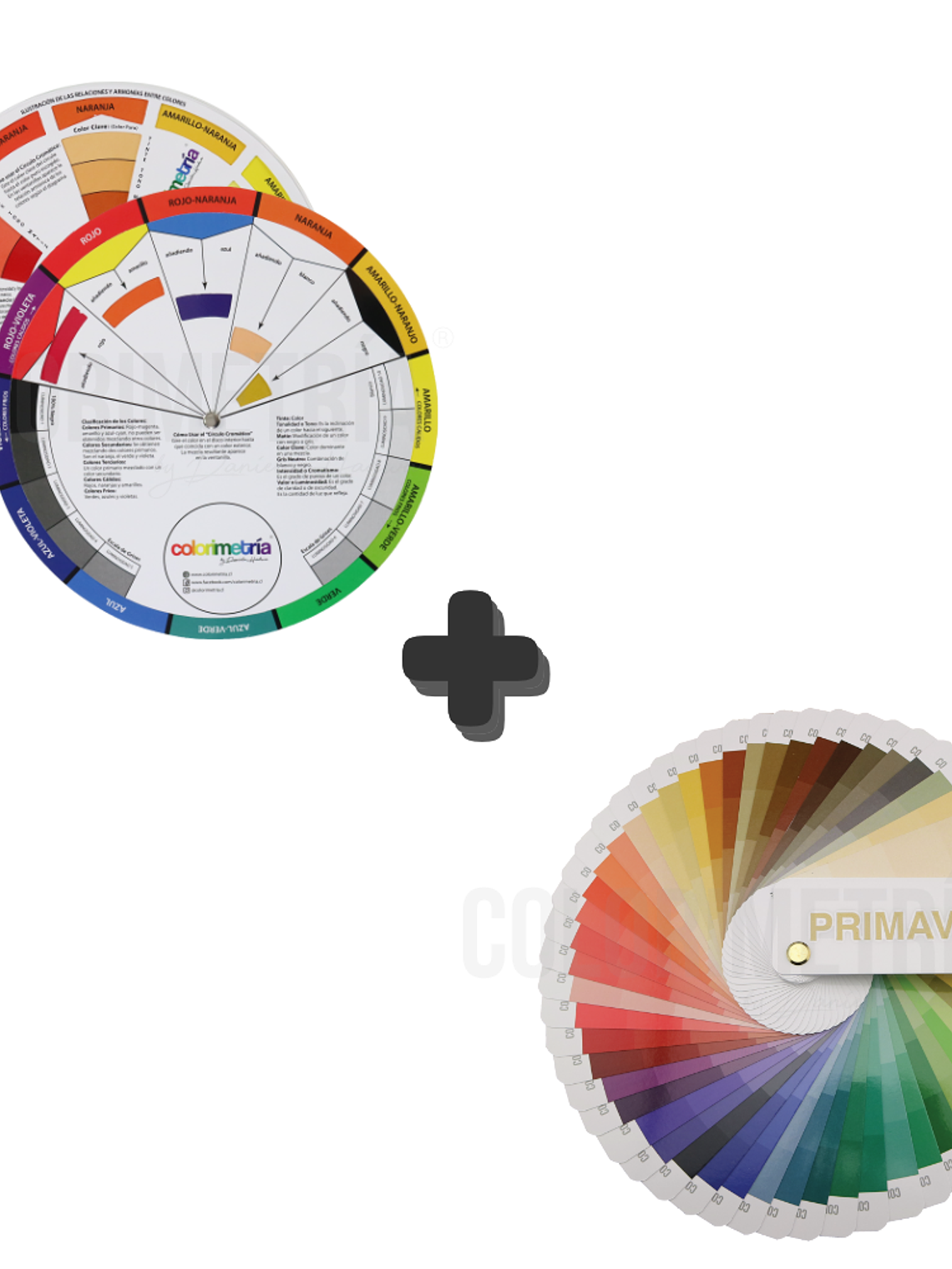 Paleta de Colores + Círculo Cromático LP 2