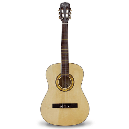 Guitarra Acustica Vizcaya ARCG34 NT