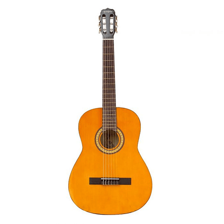 Guitarra Acustica Vizcaya ARCG44 NT