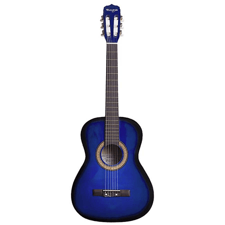 Guitarra Acustica Vizcaya ARCG34 BB