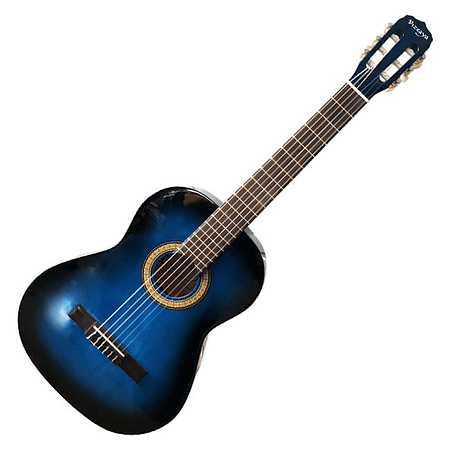 Guitarra Acustica Vizcaya ARCG44 BB