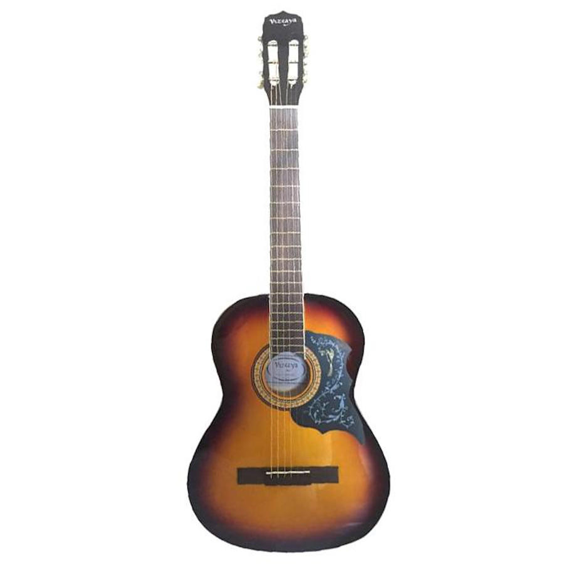Guitarra Acustica Vizcaya ARFG94 SB
