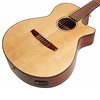 Guitarra Electroacustica Ibanez AEG50N NT