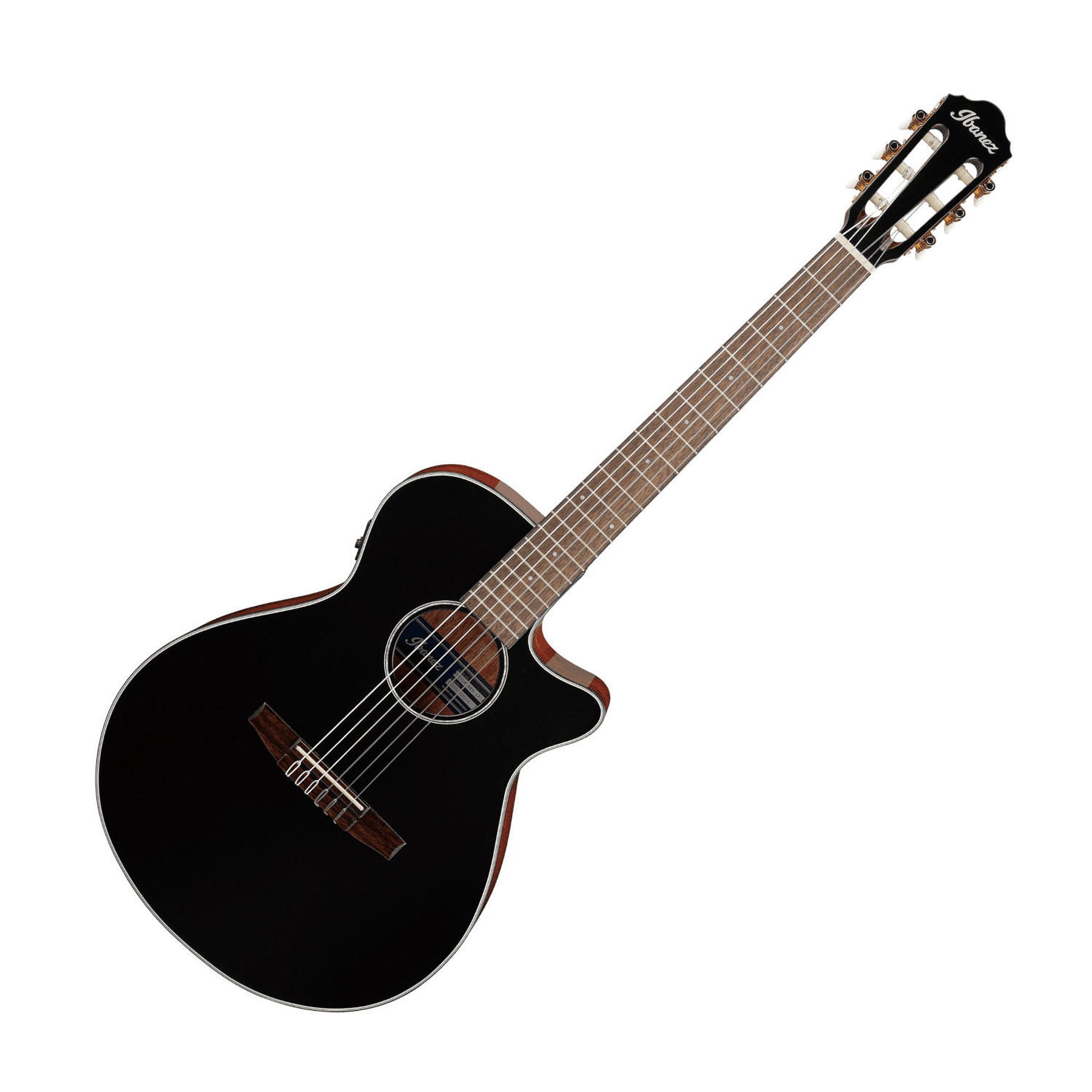 Guitarra Electroacustica Ibanez AEG50N BKH