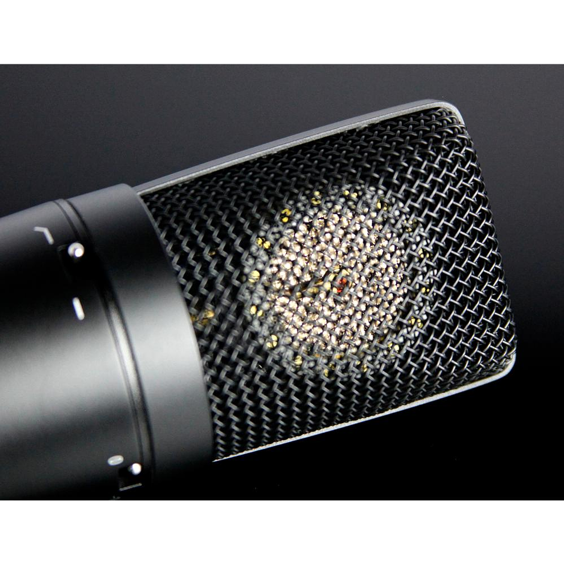 Microfono condensador Tascam TM-180 3