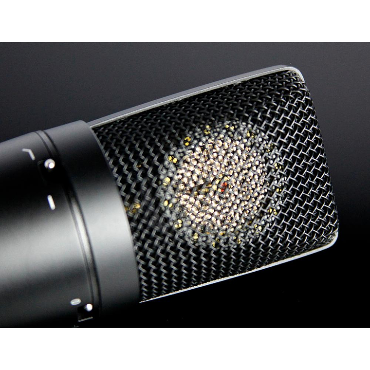 Microfono condensador Tascam TM-180 3