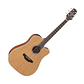 Guitarra Electroacustica Metal Takamine GD20CE-NS - Miniatura 1