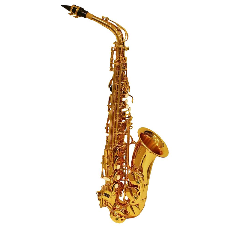 Saxofon Alto Etinger SA-50 1