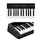 Piano Digital Casio Privia PX-S3000 BK - Miniatura 3