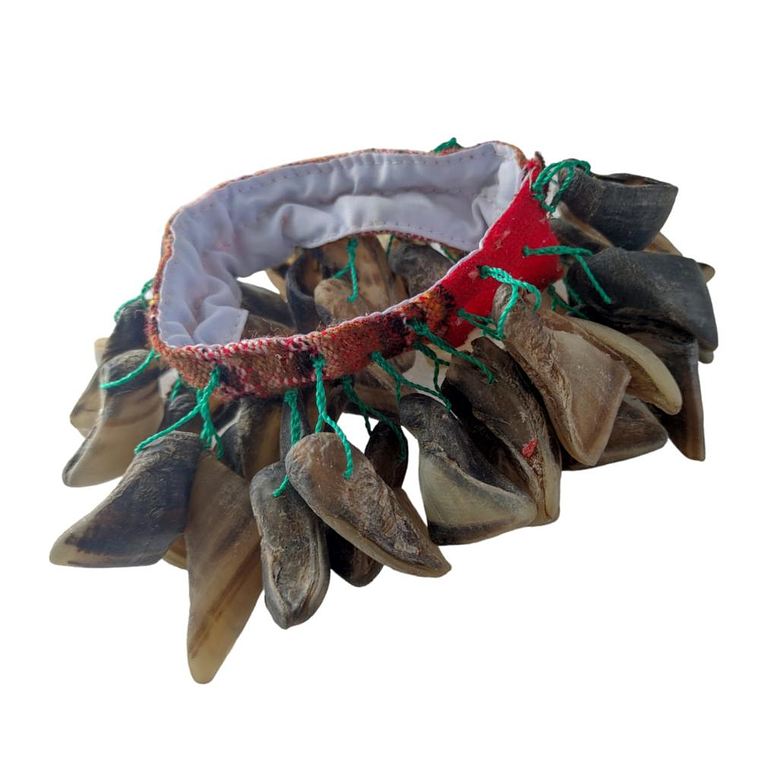 Chajcha Tradicional Mlion Pequeña 2