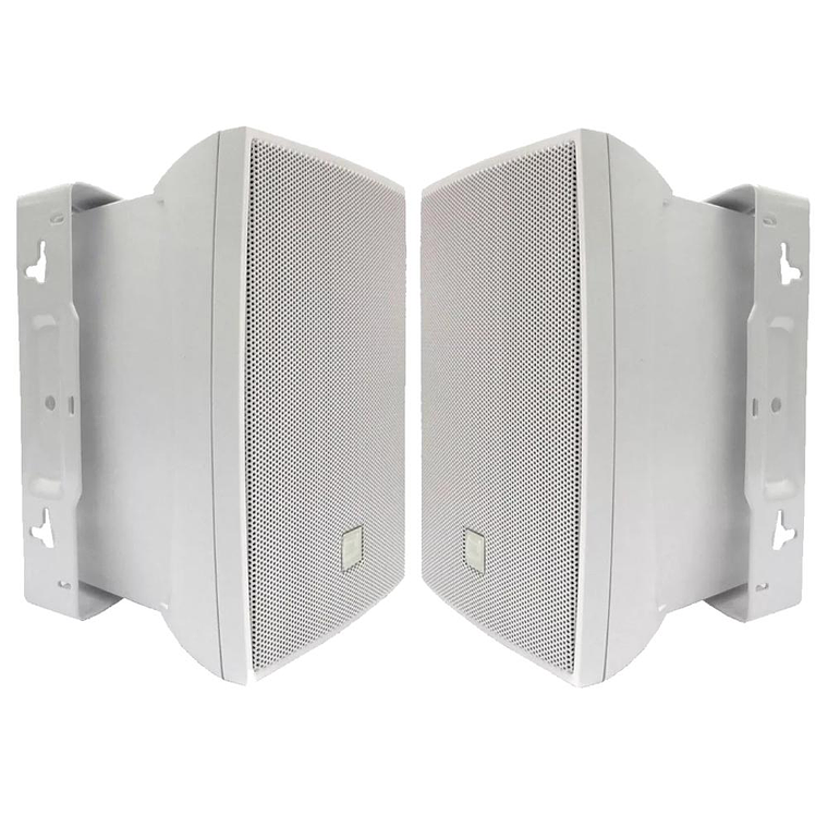 Parlantes ambientales JBL Selenium C621 B 1