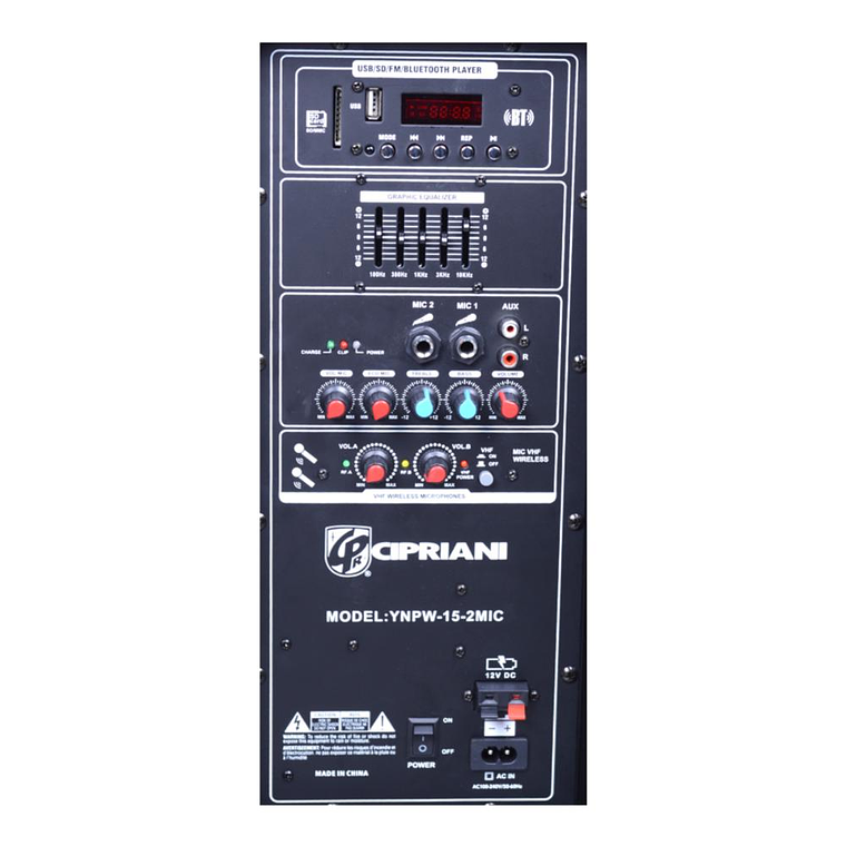 Parlante Portatil Karaoke 15'' Cipriani YNPW-15-2MIC 3