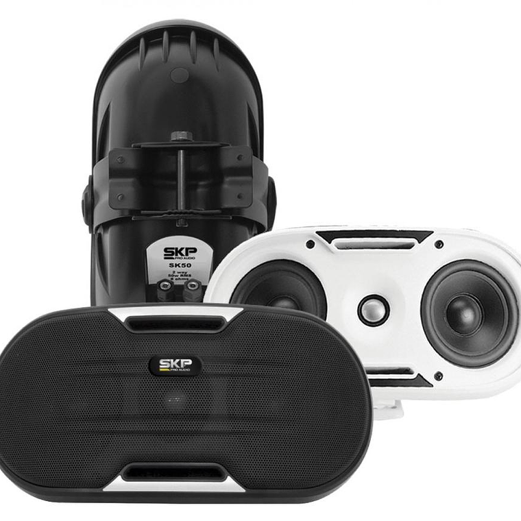 Parlante Ambiental SKP SK-50 2