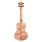 Ukelele Concierto de Caoba Exotica Kala KA-CEM 2006 - Miniatura 3