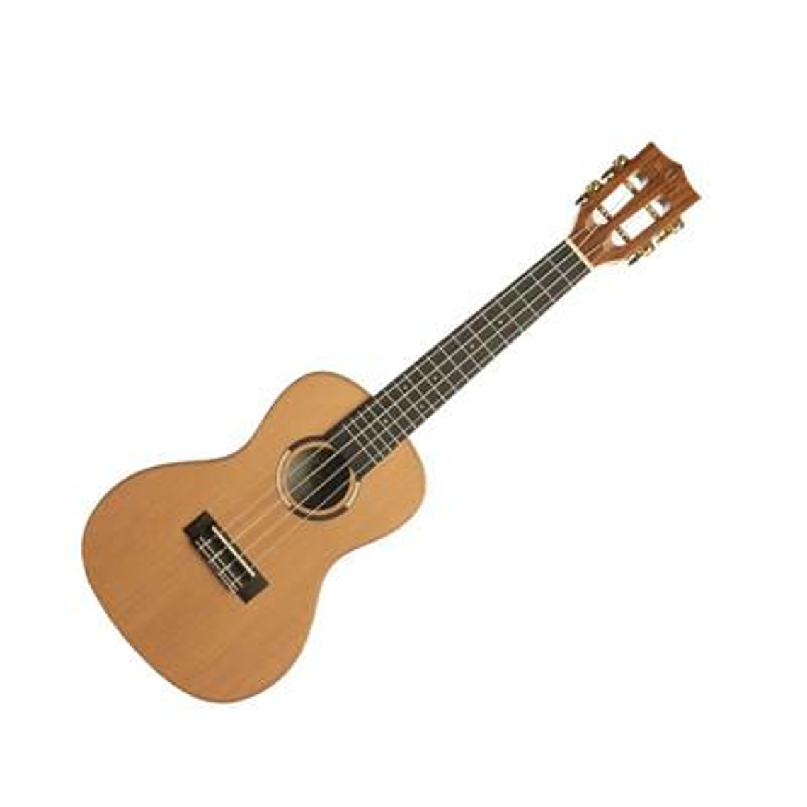 Ukelele Concierto Kala KA-ASCP-C w/case 1