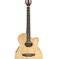 Guitarra electroacustica Freeman FRA95NCET NT - Miniatura 1