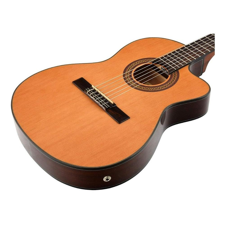 Guitarra electroacustica Ibanez GA5TCE 3