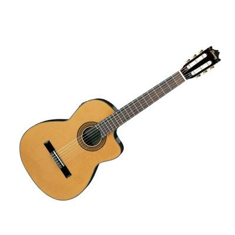 Guitarra electroacustica Ibanez GA6CE 1