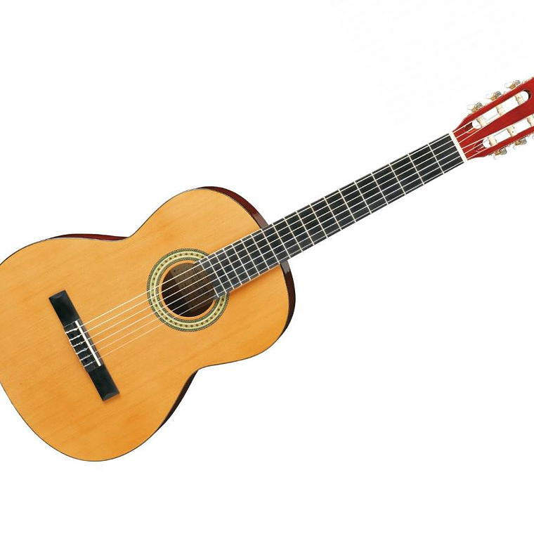 Guitarra Acustica Ibanez GA3 AM 1