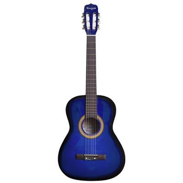 Guitarra Acustica Vizcaya ARCG34 BB 1