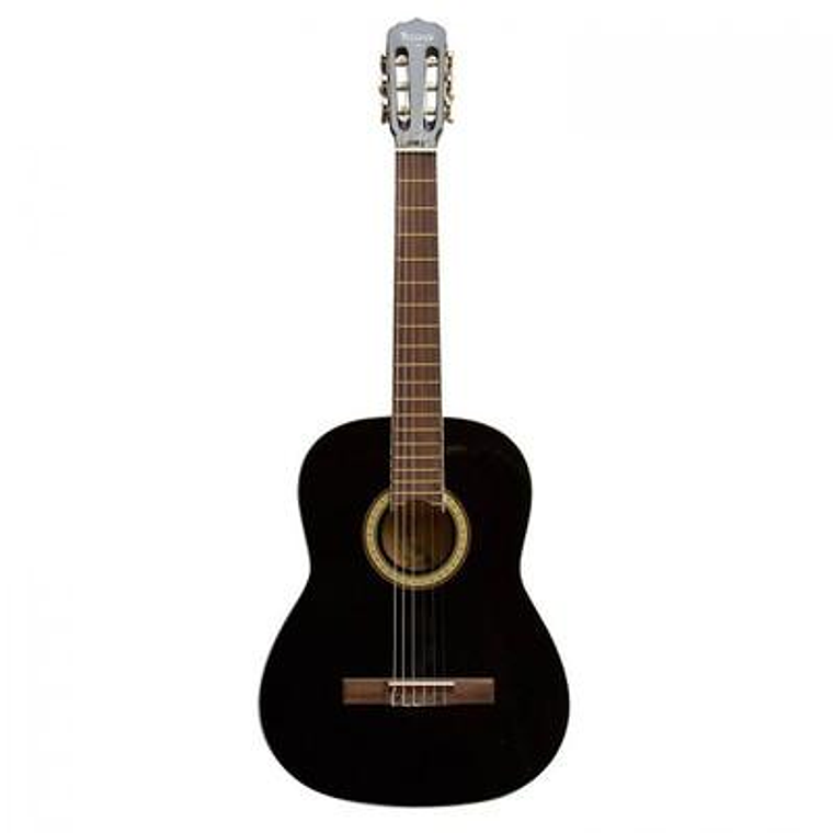Guitarra Acustica Vizcaya ARCG44 BK 1