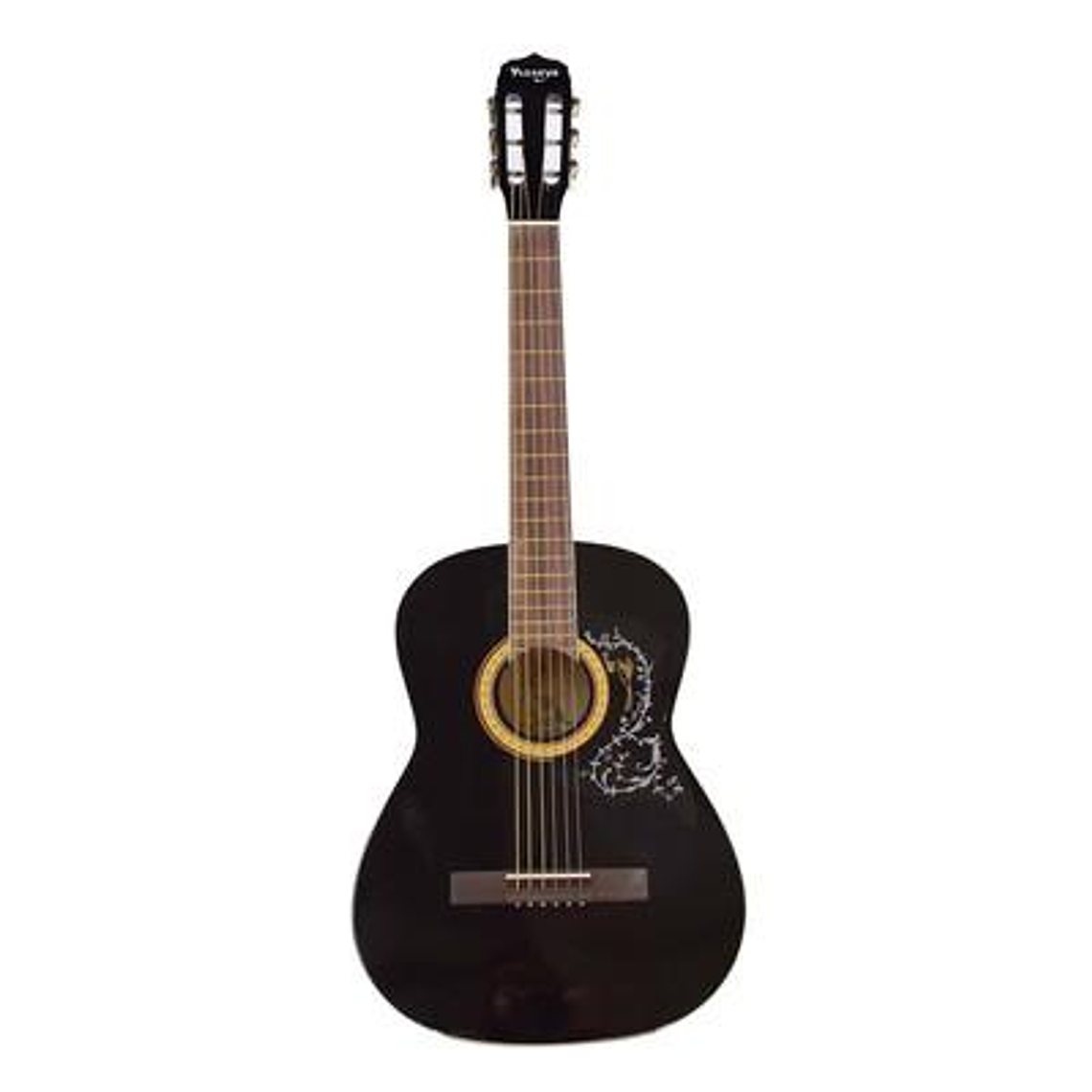 Guitarra Acustica Vizcaya ARFG94 BK cuerdas Metal 1