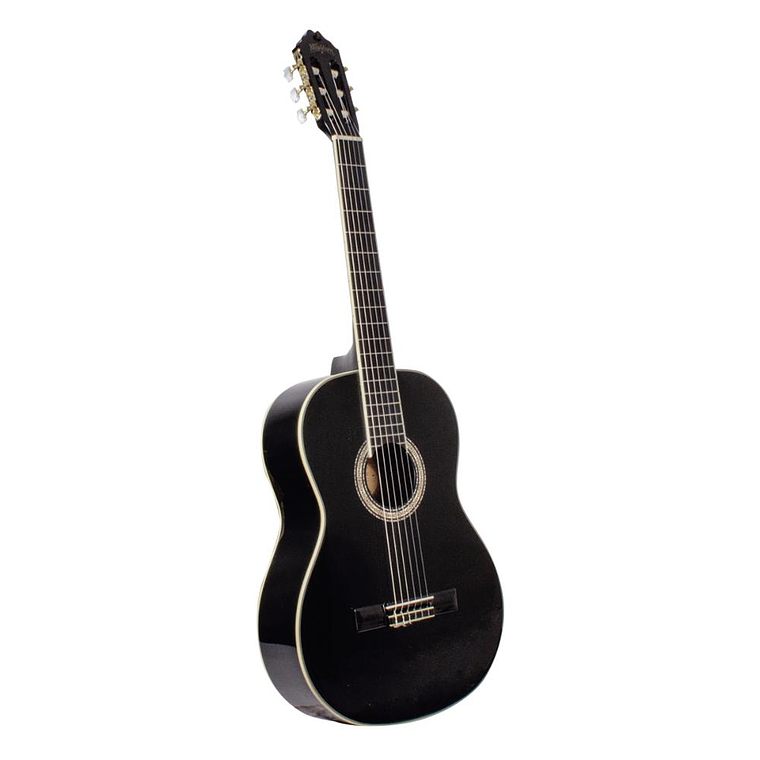 Guitarra Acustica Washburn C5B 1